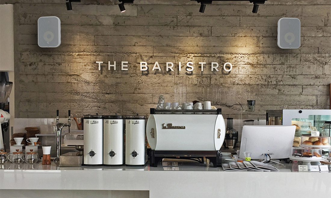 Bluesound Professional BSP500 Network Streaming Speaker